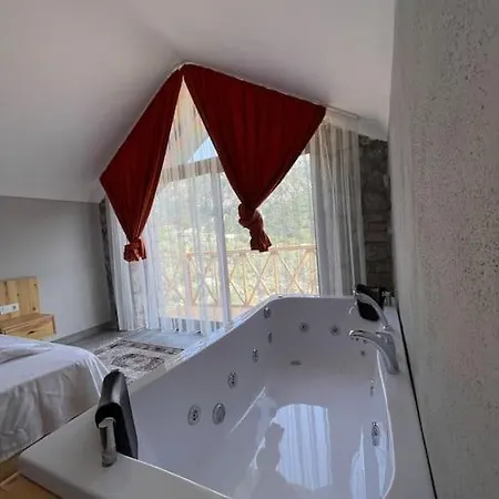 Hotel Mesedibi *